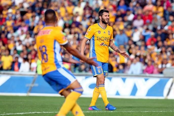  Le siguen abollando la corona a Tigres