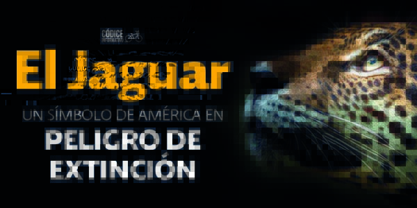  EL Jaguar, un símbolo de América en peligro de extinción.