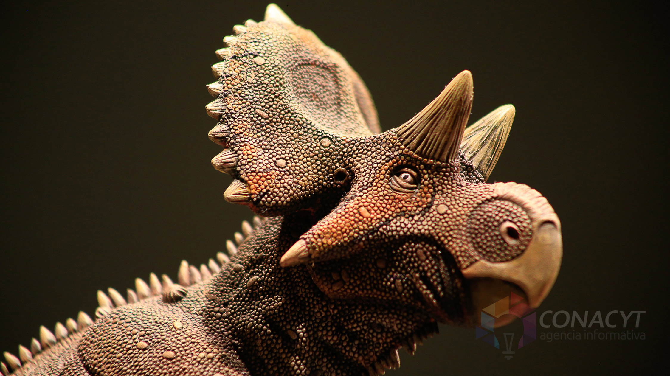  Científicos mexicanos hallan nueva especie de dinosaurio en el norte del país