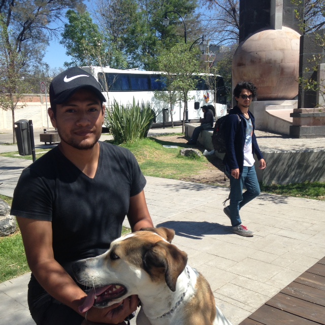  Municipio de Querétaro ofrecerá cursos para educar a las mascotas