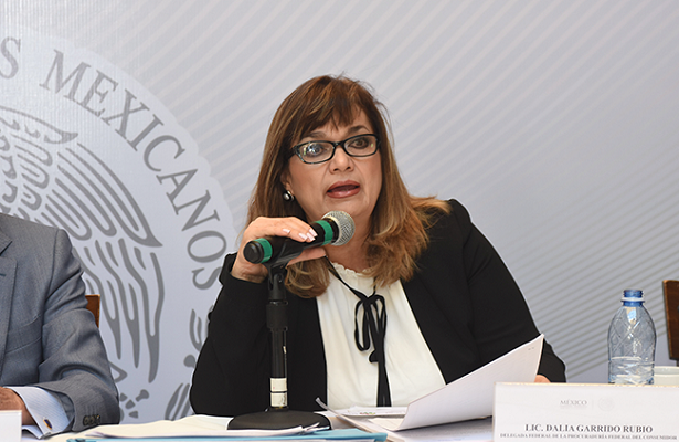  Rigor de Profeco; intensas revisiones durante las vacaciones