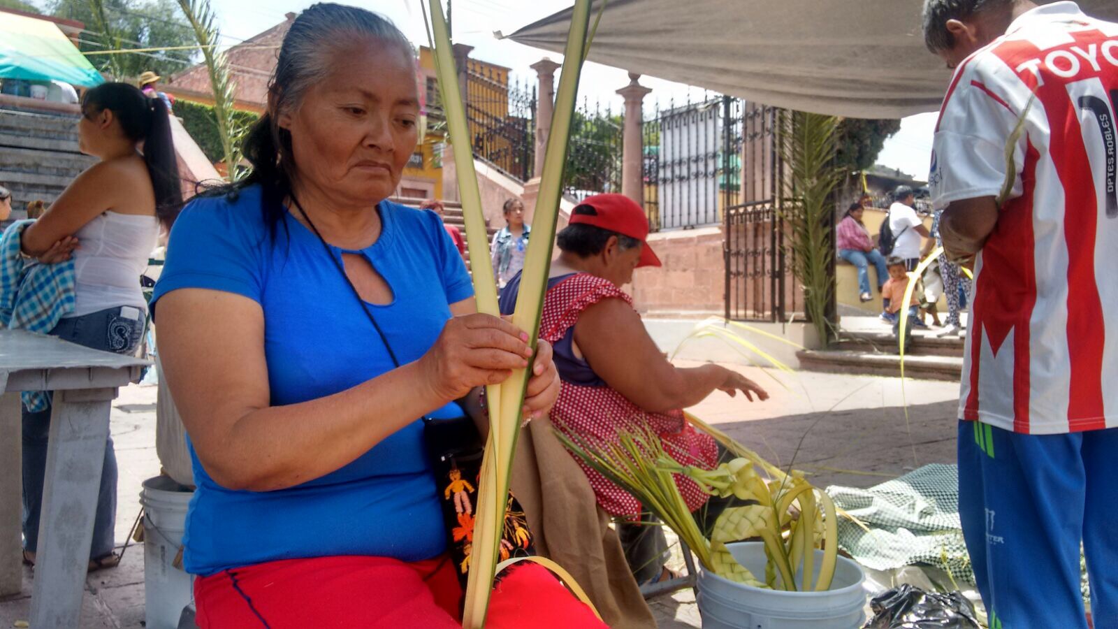  Una vida entre las palmas