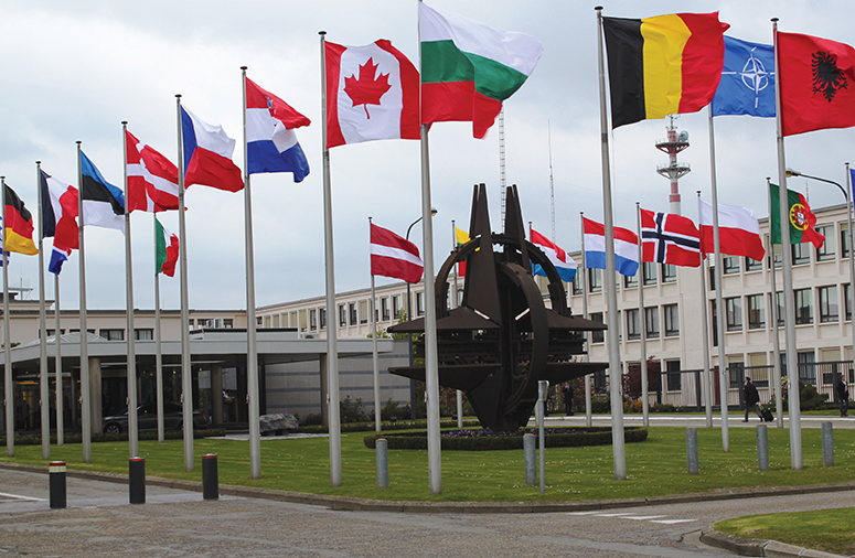  Entendiendo el funcionamiento de la OTAN