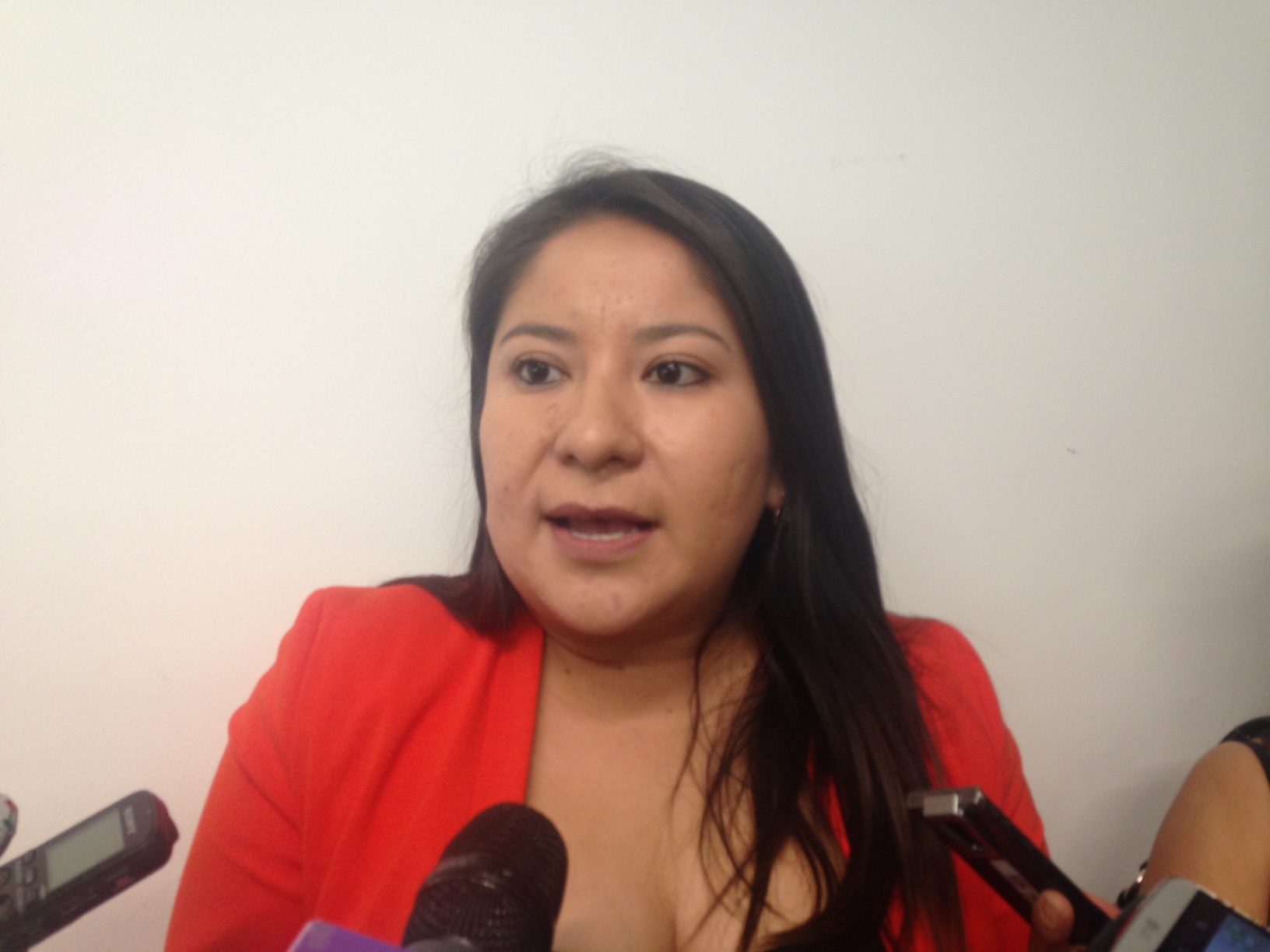  “Observatorio debe tomar en cuenta todas las opiniones de sus agremiados”, exhorta Daesy Hinojosa