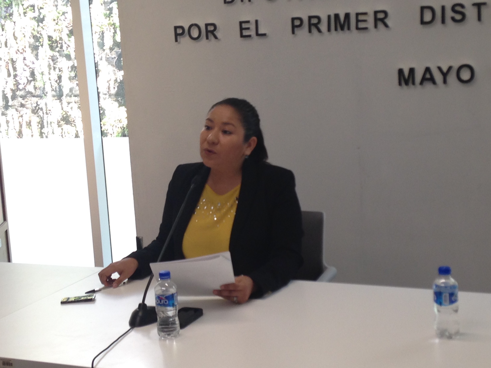  Diputada Daesy Hinojosa pide incrementar recursos para capacitación política de las mujeres