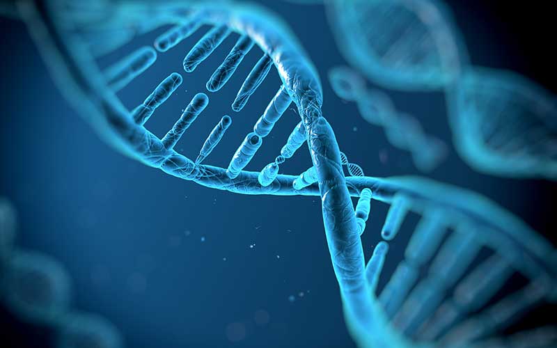  Pionero del genoma humano dice que la genética refuta el concepto de raza