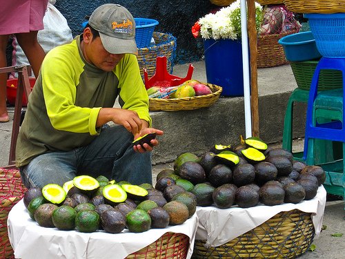  Registran alza en el precio del aguacate