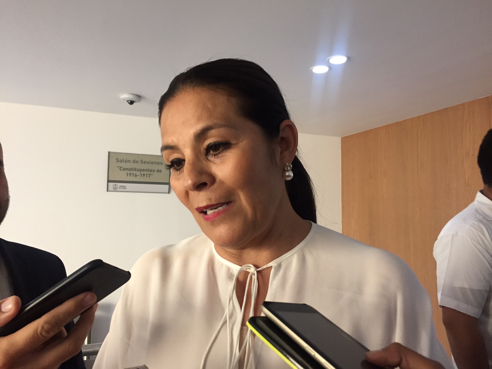  PRI también tenía derecho a ocupar la Mesa Directiva: Isabel Aguilar Morales