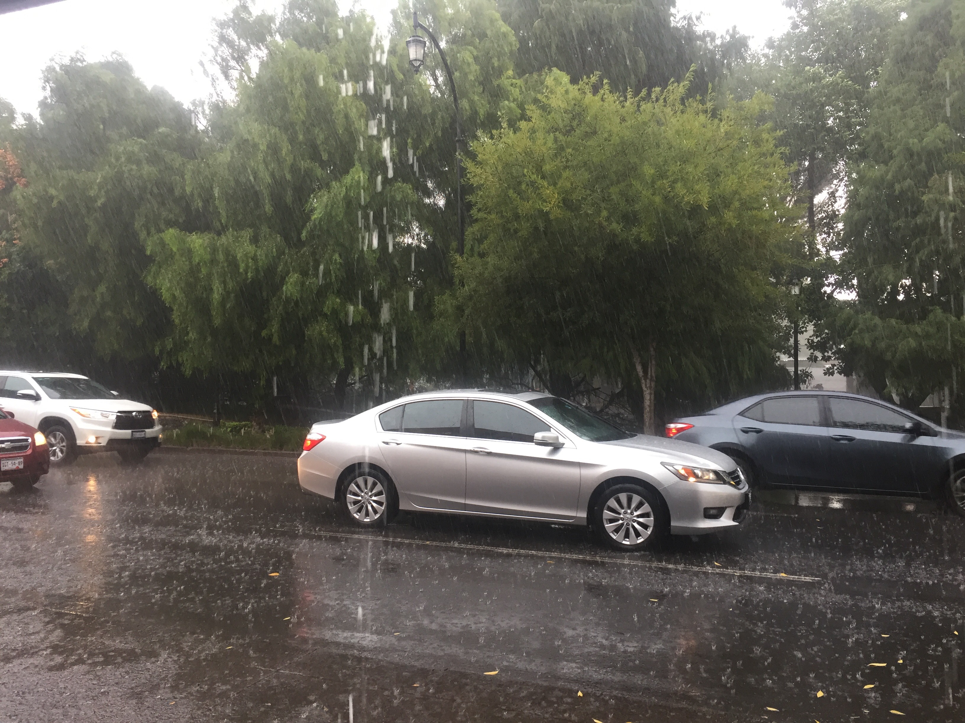  Lluvias causan afectaciones leves en la zona sur de la ciudad