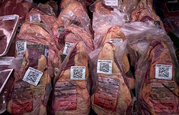  Querétaro va por mercado asiático