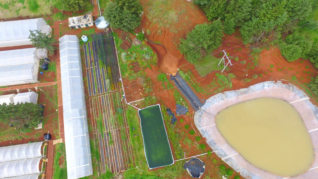  UAQ campus Amealco contará con sistema autosuficiente de agua