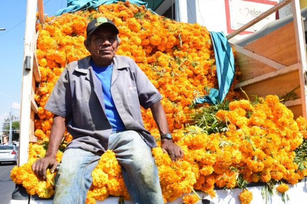  Viven del recuerdo; Floristas llegan al mejor día del año
