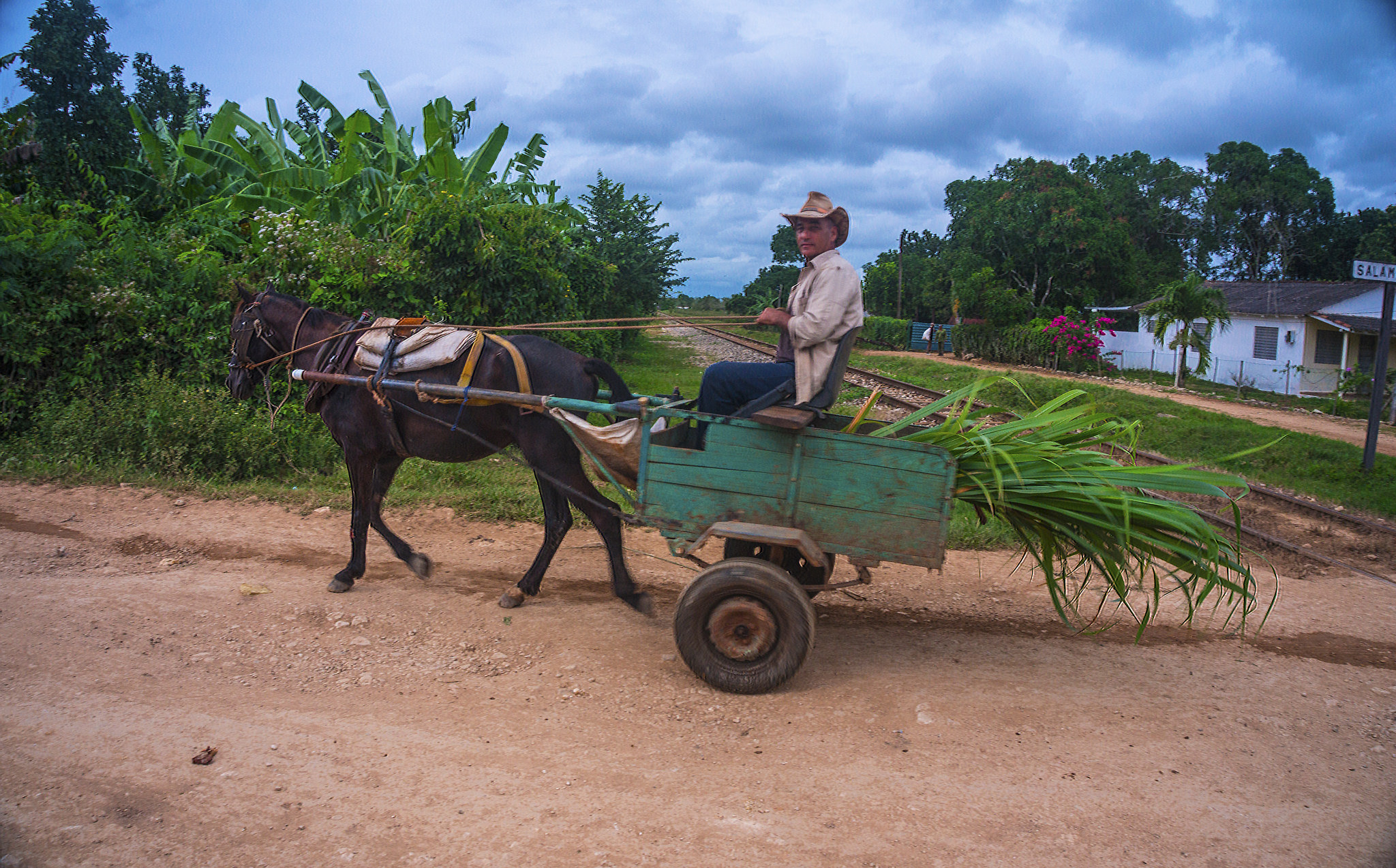  El punto cubano, reconocido como Patrimonio Inmaterial de la Humanidad