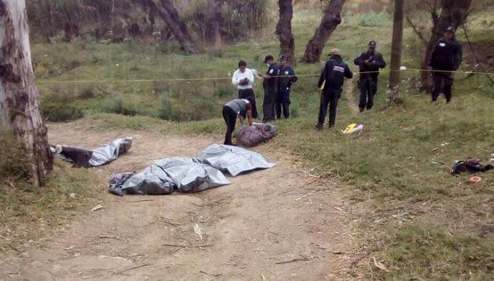  Hallan siete cabezas y restos humanos en Guerrero