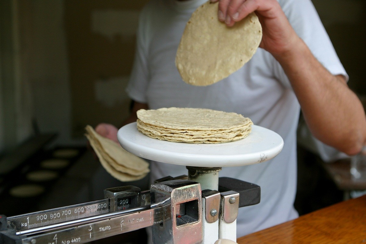  La tortilla no aumentará en Querétaro, aseguran productores locales