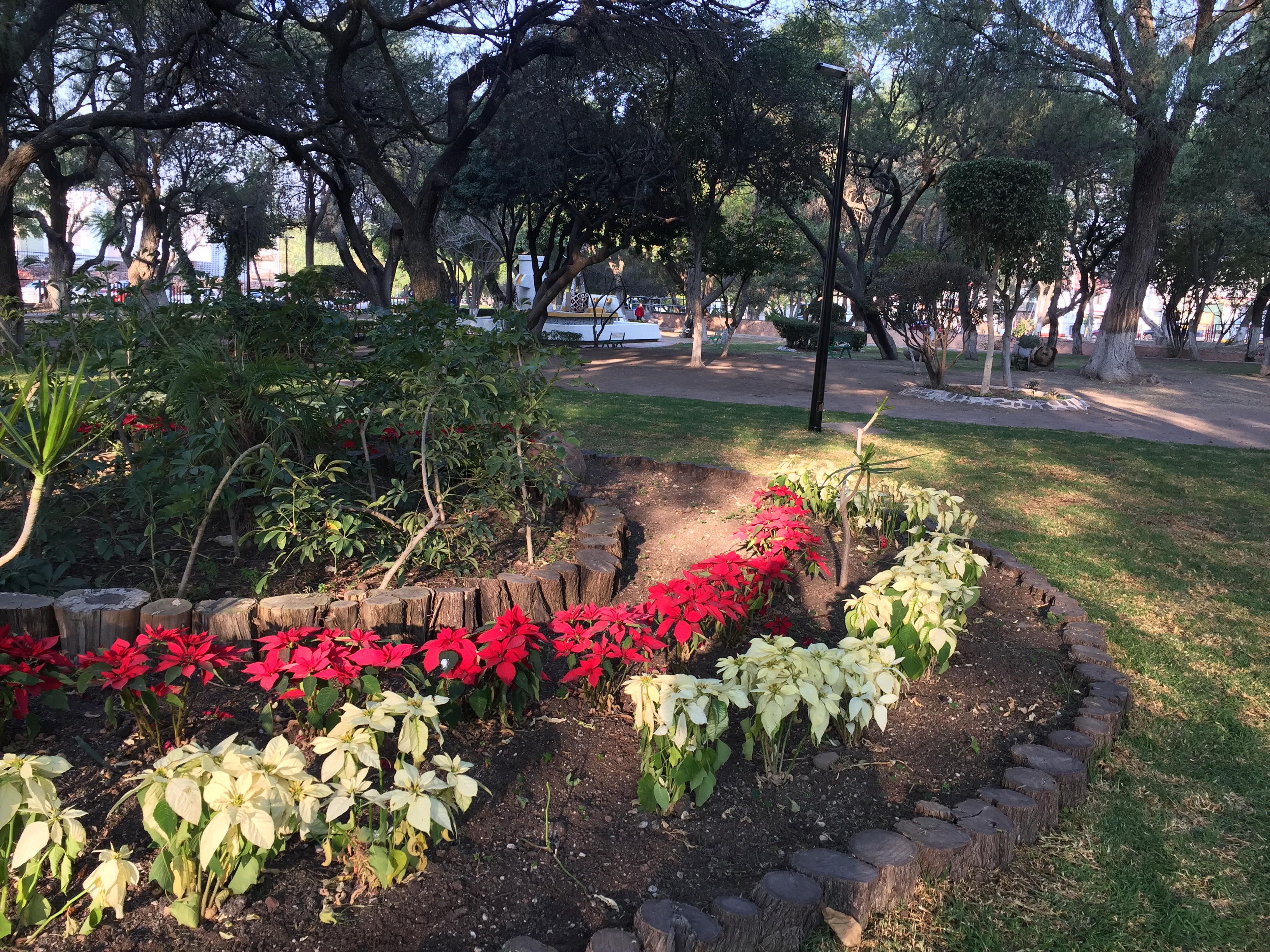  Municipio de Querétaro rehabilita parque en Álamos