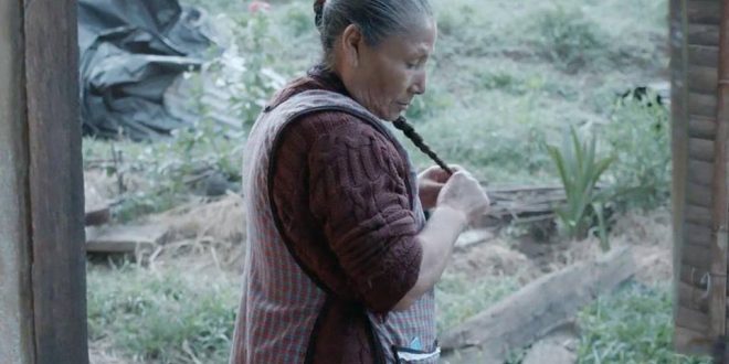  Funciones del documental ‘Bosque de Niebla’ en la Cineteca Rosalío Solano