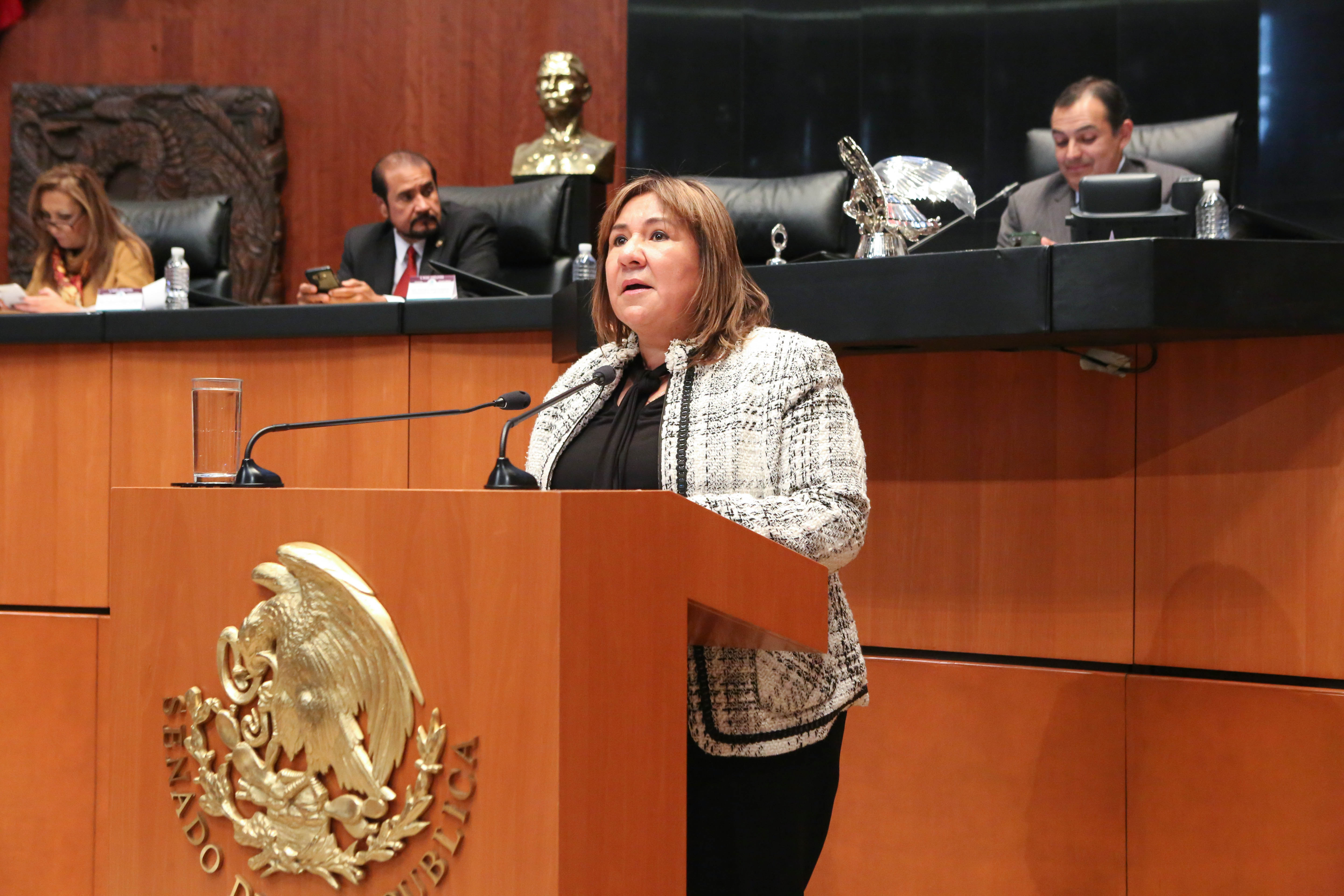  Otorgará Senado reconocimiento “Elvia Carrillo Puerto” a María Elena Chapa Hernández