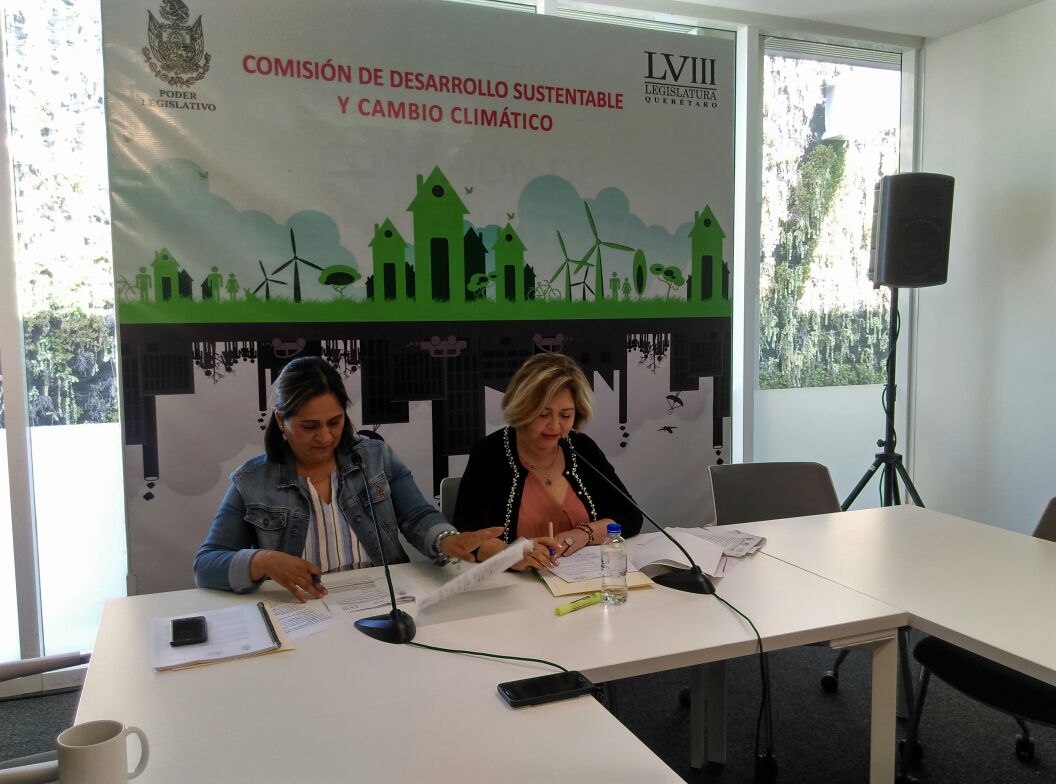  “Necesario que próximo titular de la mesa directiva dé continuidad a lo que se ha trabajado”: Carmen Zúñiga