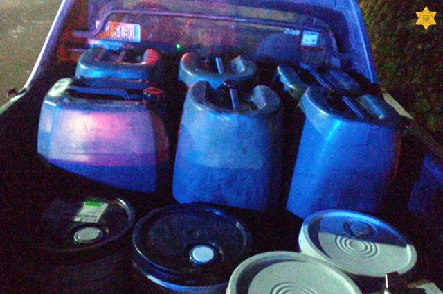  SSPMQ asegura 480 litros de hidrocarburos