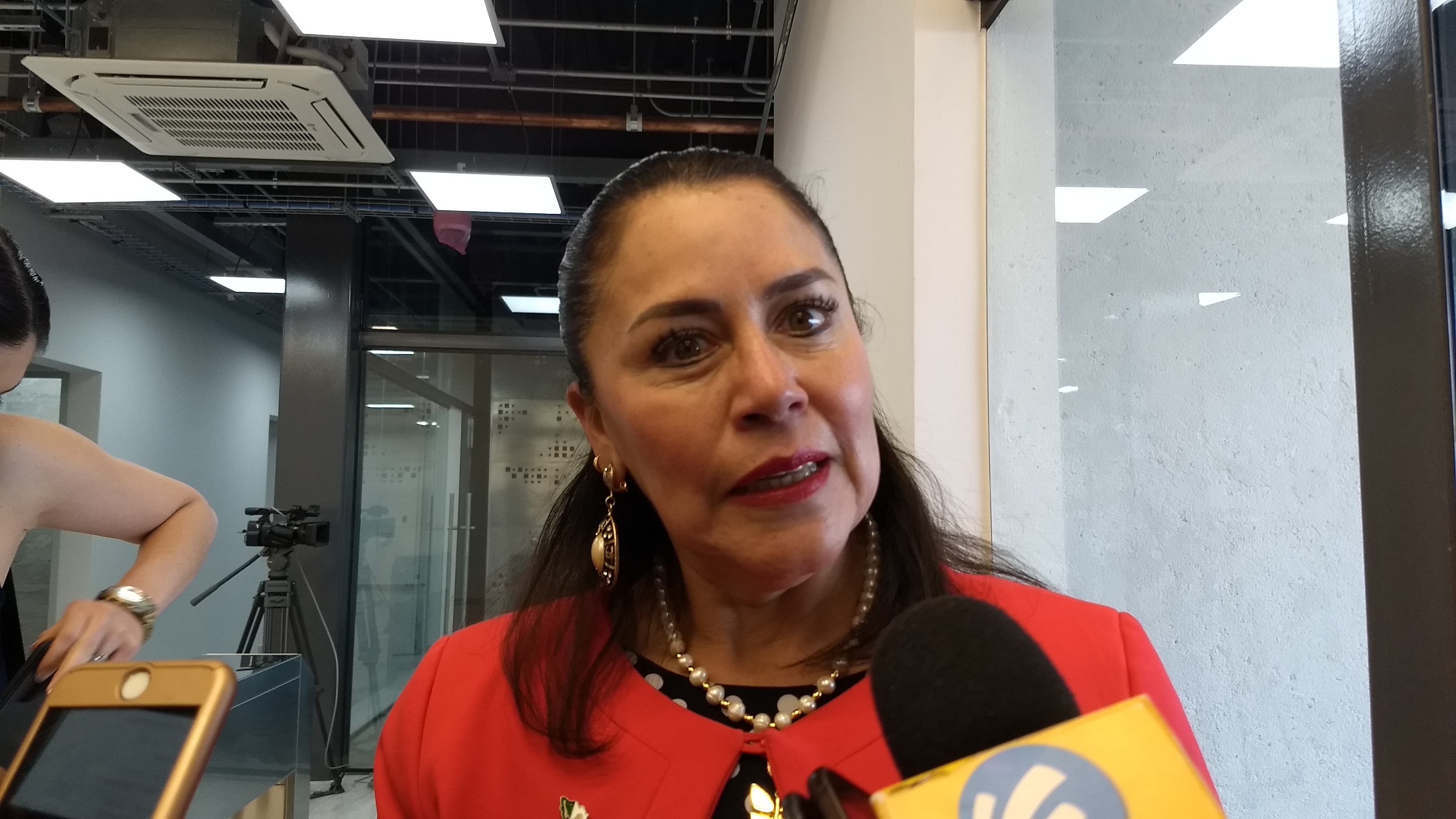  Confirma Consuelo Rosillo vinculaciA?n a proceso de presunto homicida de Antea