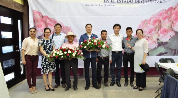 Flores de San Juan del Río se venderán en China