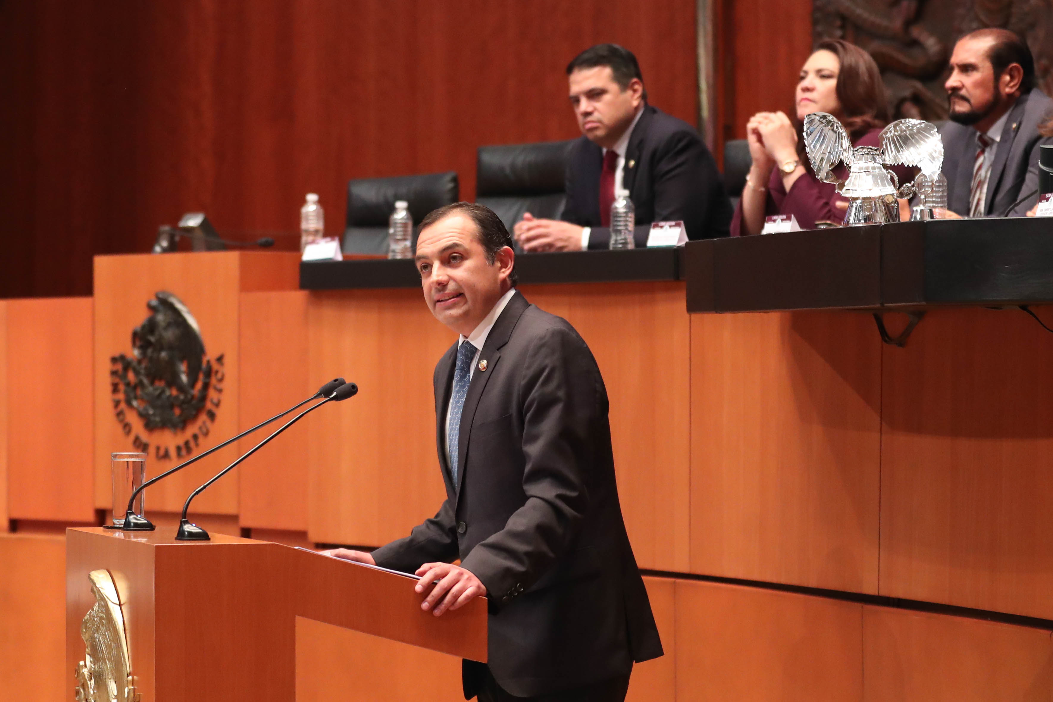  Senado asegura que las instituciones garantizan que no naufrague la democracia