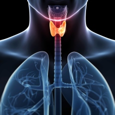 Mal funcionamiento de tiroides puede provocar nódulos y hasta cáncer