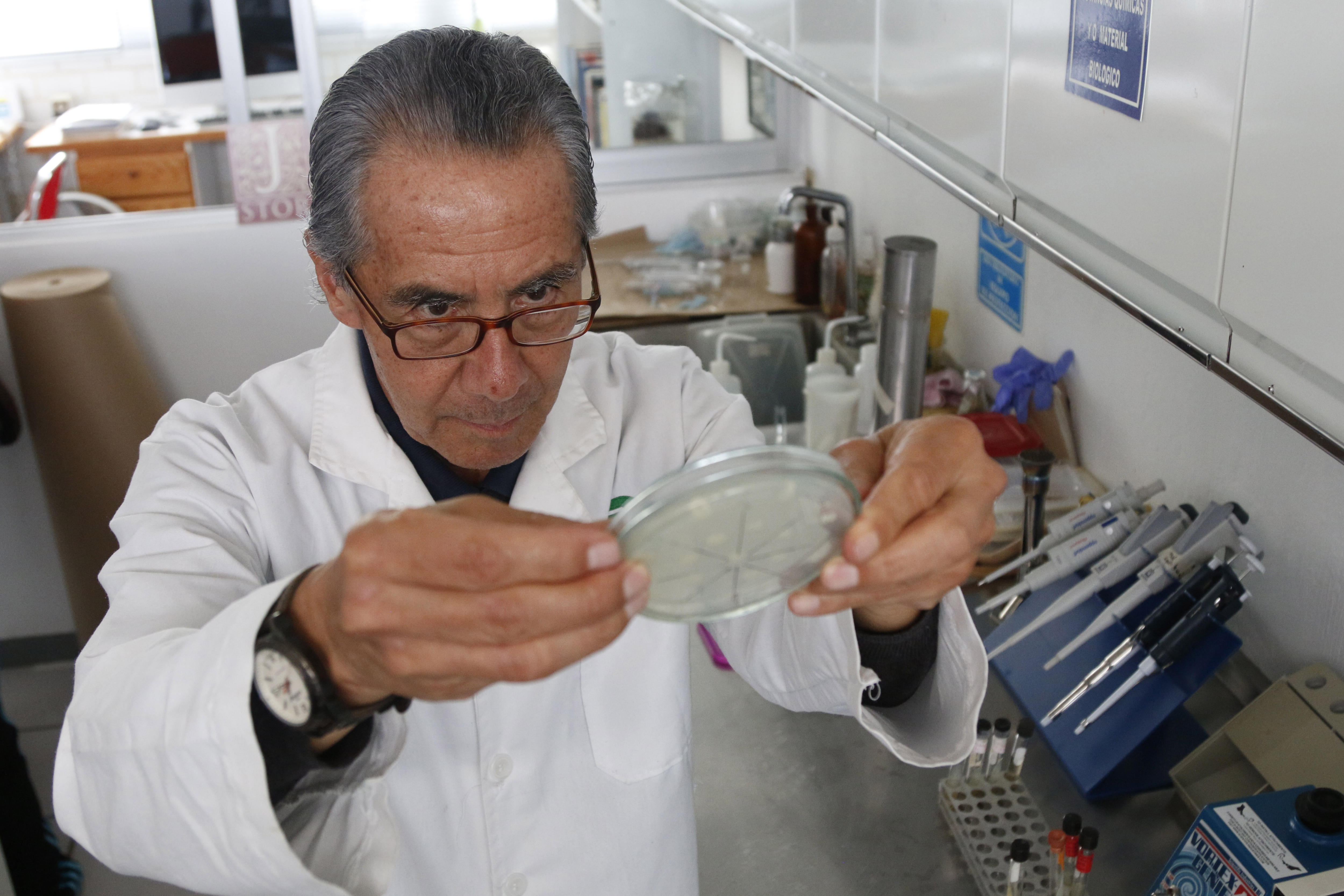  Investigador mexicano crea antibiótico con piel de rana