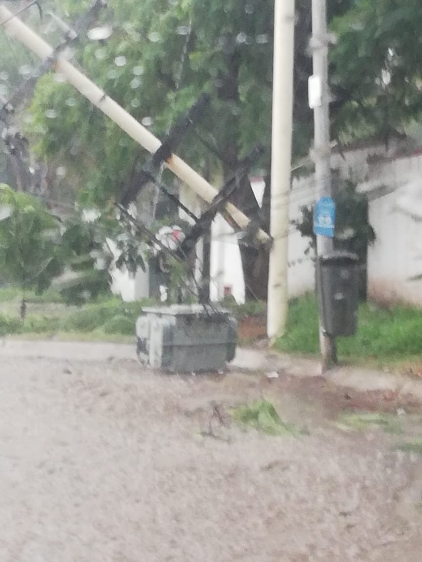  Caen árbol y poste de luz en Jurica por fuerte lluvia