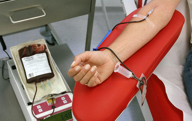  Solo 3% de donadores de sangre lo hacen de forma altruista: IMSS