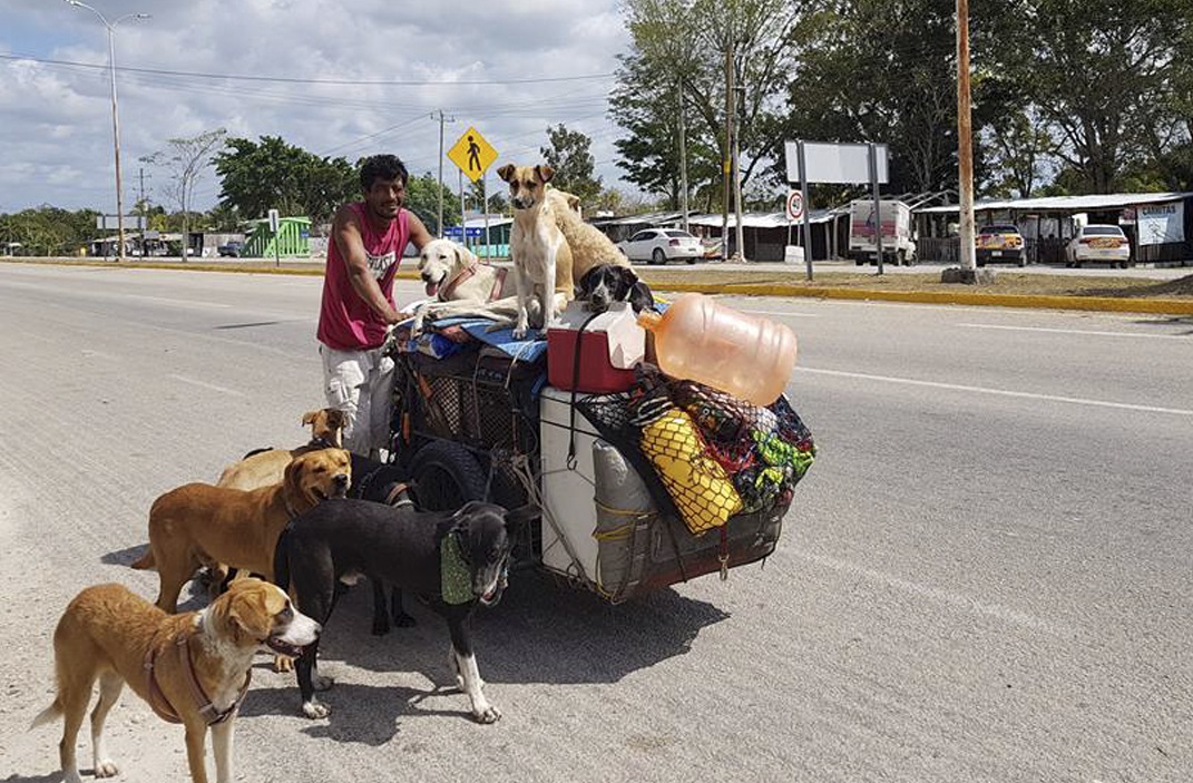  Edgardo y su épica travesía por el país rescatando perros abandonados