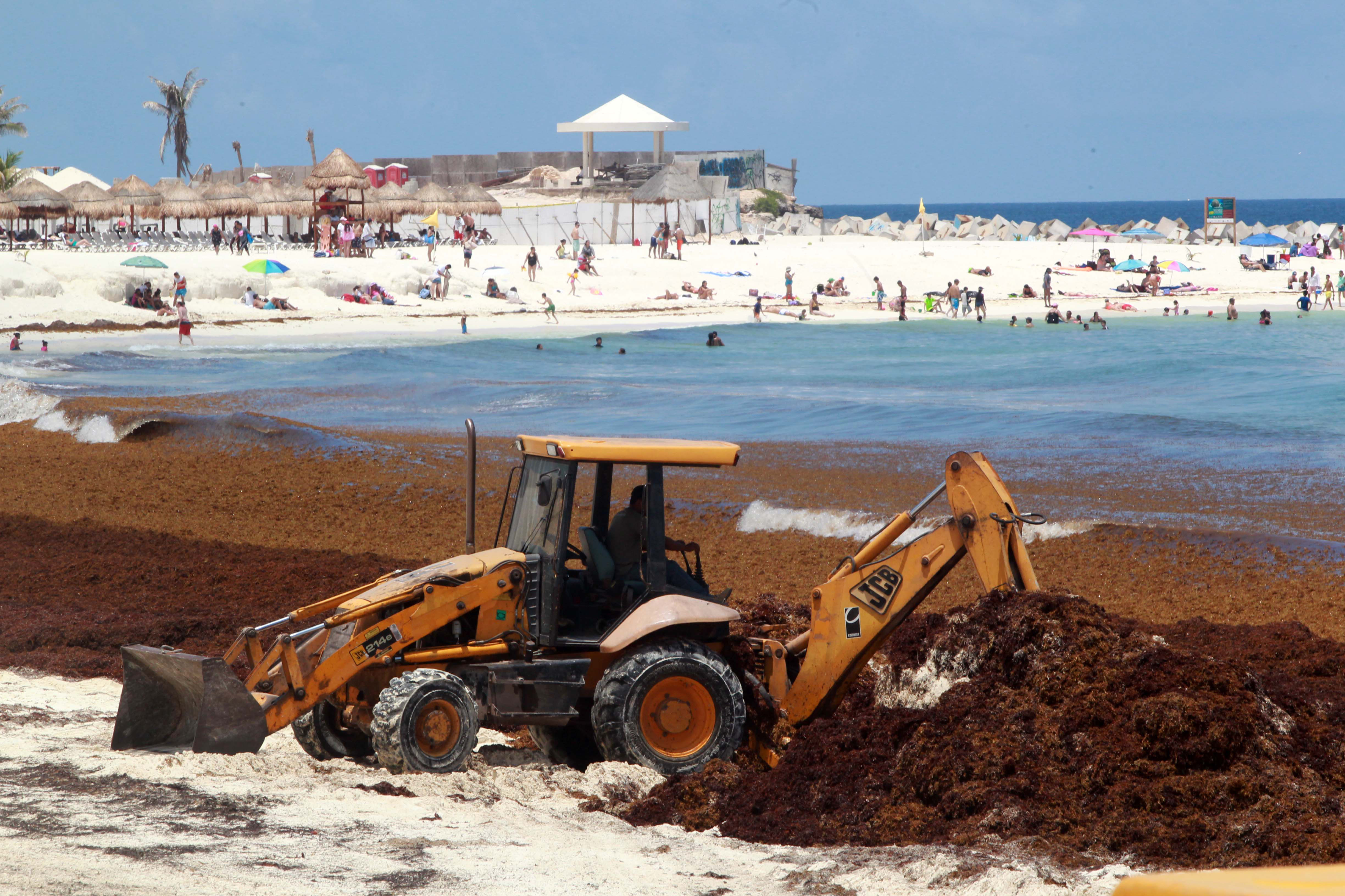  Autoridades e iniciativa privada se unen para combatir el sargazo en Cancún