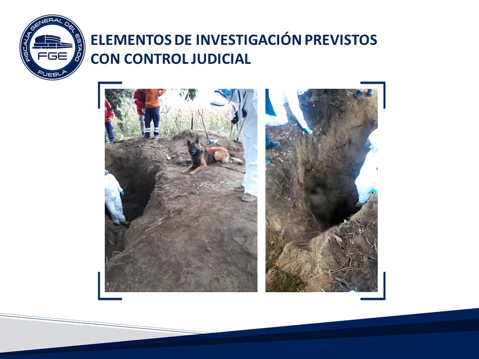  Hallan 8 cuerpos en fosas clandestinas de Puebla