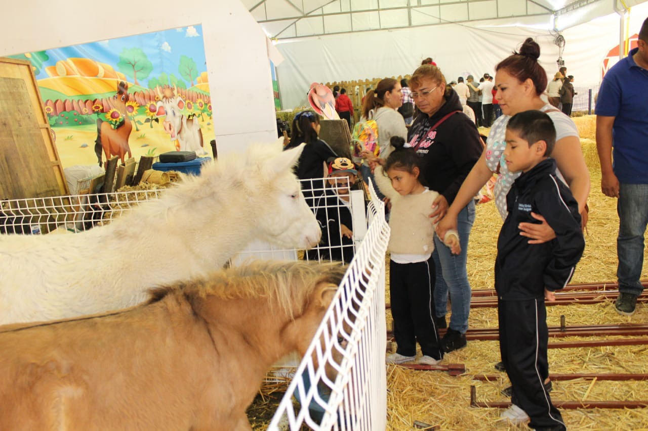  Alumnos de escuela para ciegos visitan gratis la Feria Internacional Ganadera