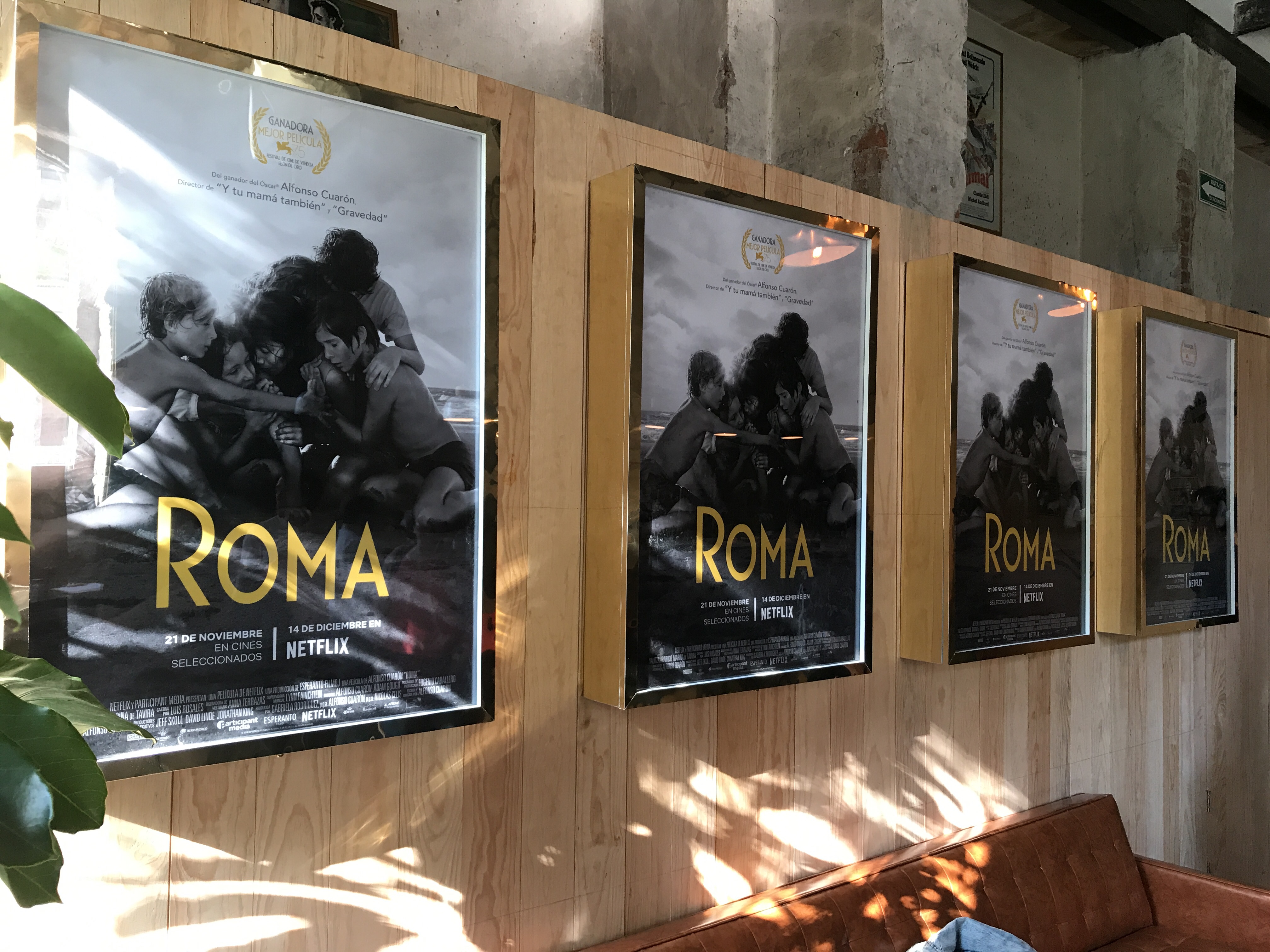  Fotografía, dirección y mejor película extranjera, Óscares de Roma en 2019