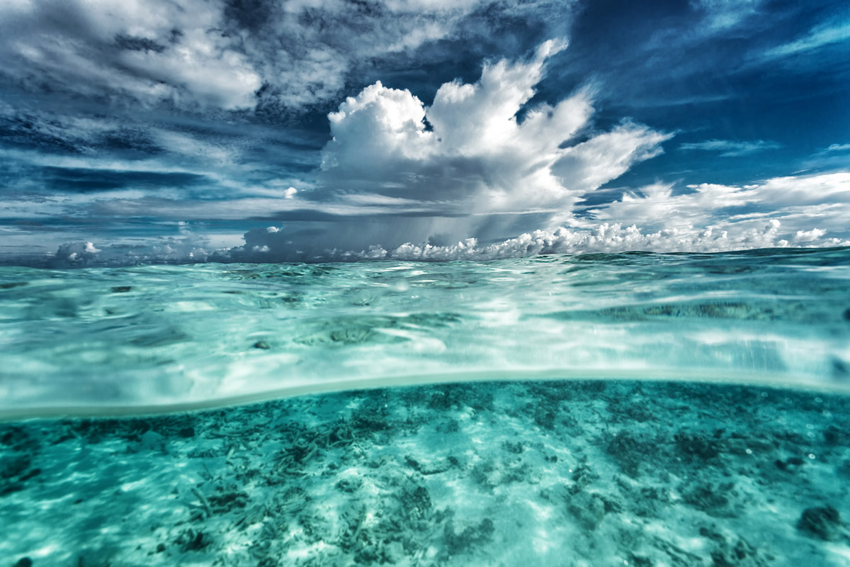  Por cambio climático, color del océano cambiará a finales de siglo