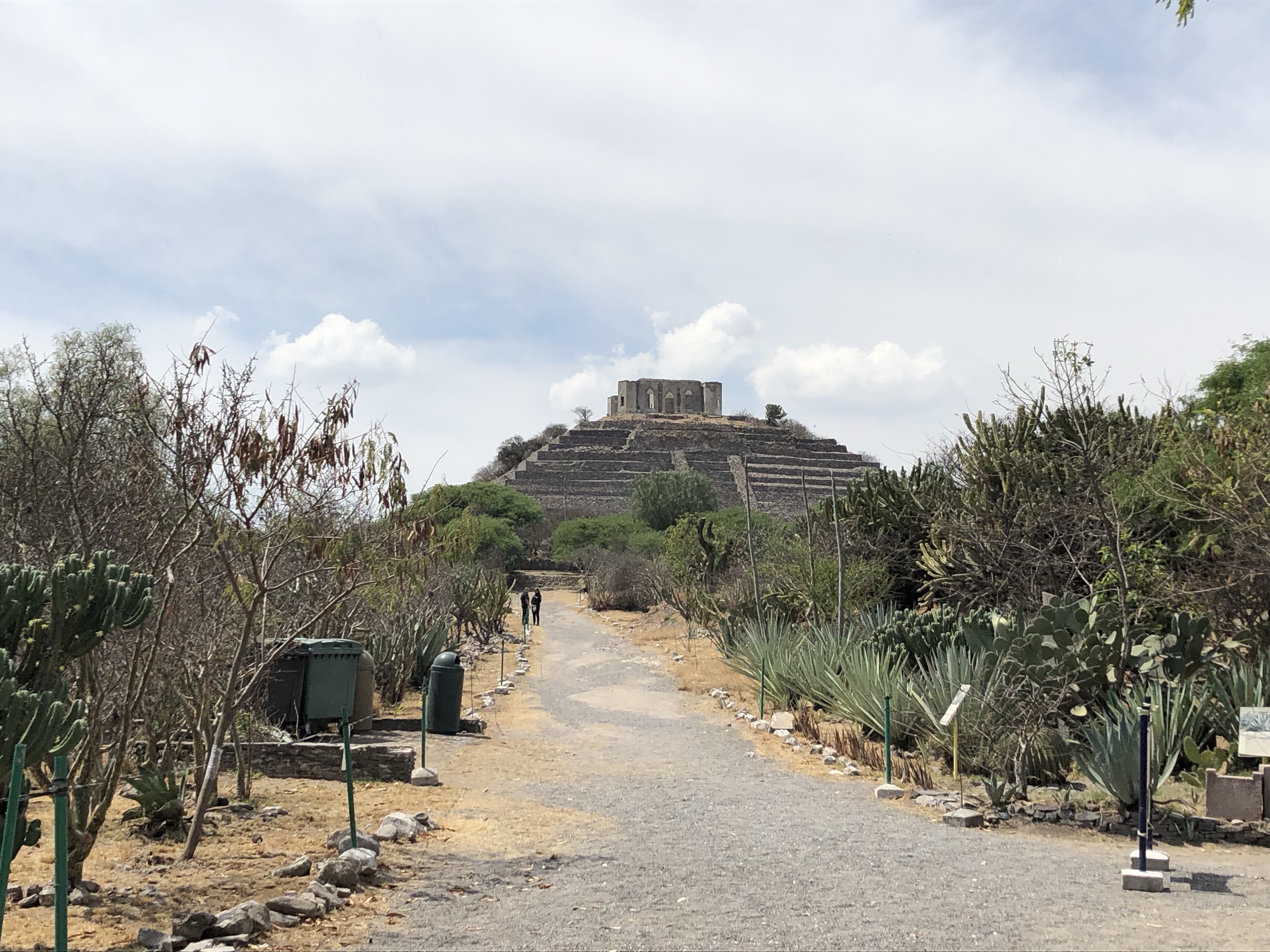  Zona arqueológica de El Cerrito y Museo Regional podrían reabrir el 22 de septiembre