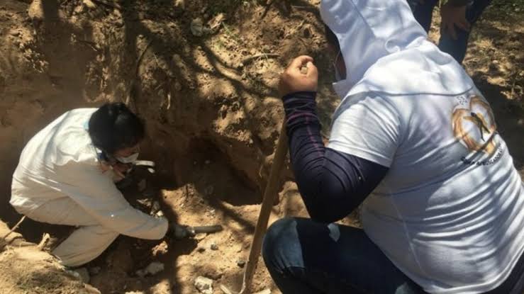  Encuentran fosa clandestina con al menos 25 cuerpos en Sonora