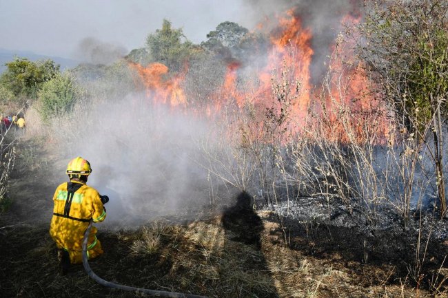  Suman 350 hectáreas consumidas por fuego en Jalpan de Serra: CEPC