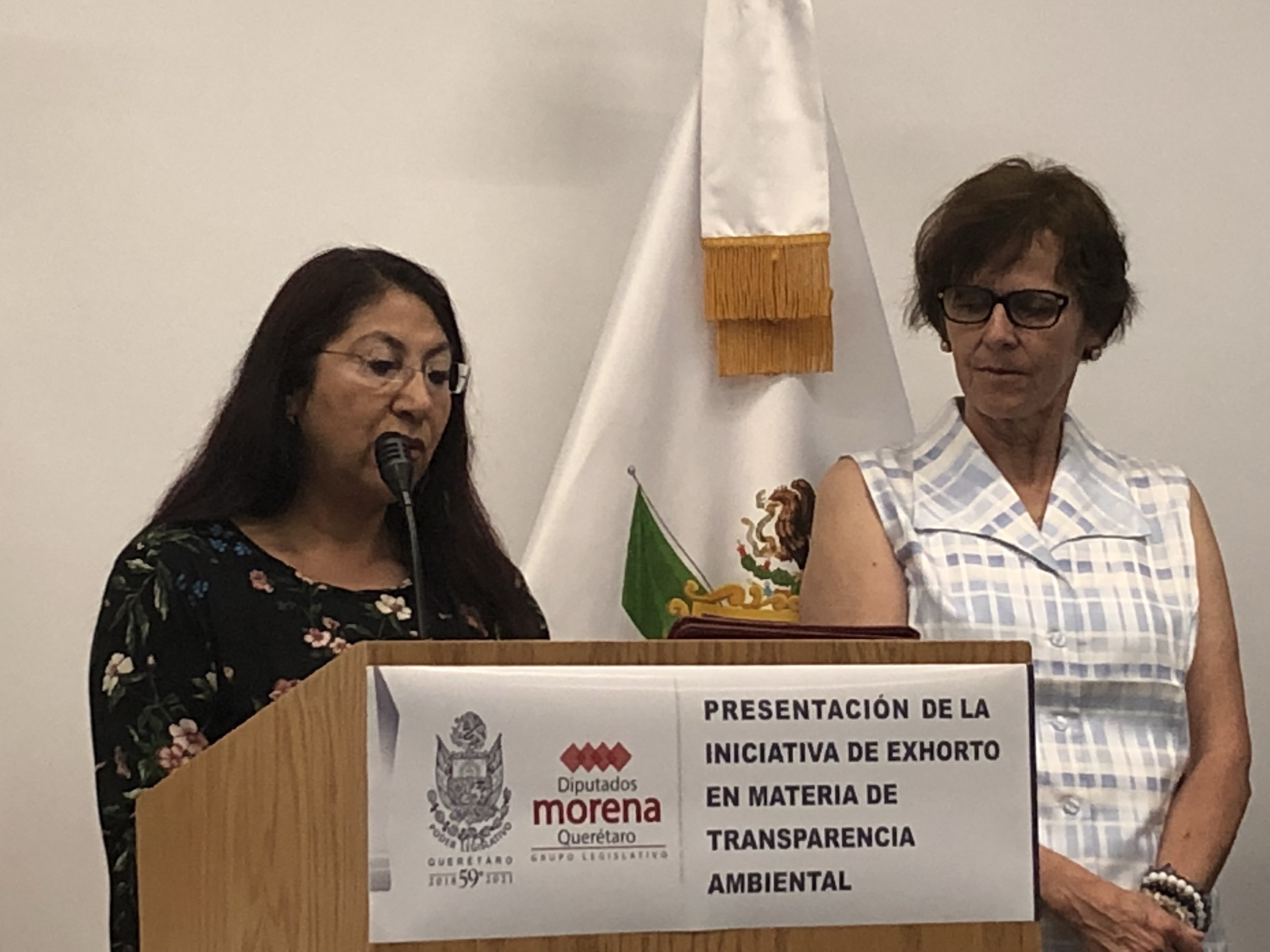  Pide Laura Polo que México ratifique ‘Acuerdo de Escazú’ para proteger a ambientalistas