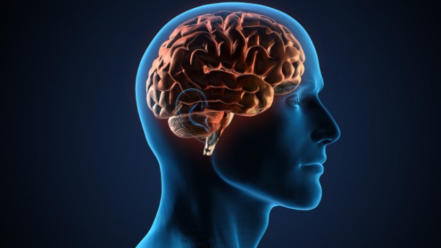 “Enseñan” a computadoras a identificar células asociadas con el Alzheimer