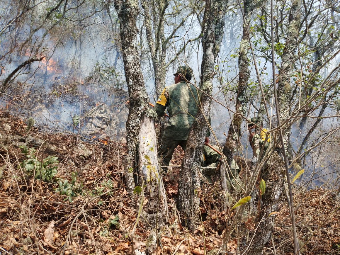  Cien hectáreas quemadas deja incendio en cerro de Pinal de Amoles