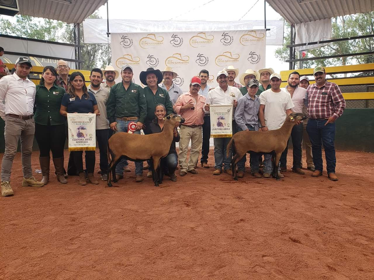  Ovinos de la UAQ ganan premios en la “Expo Ganadera Tepatitlán 2019”