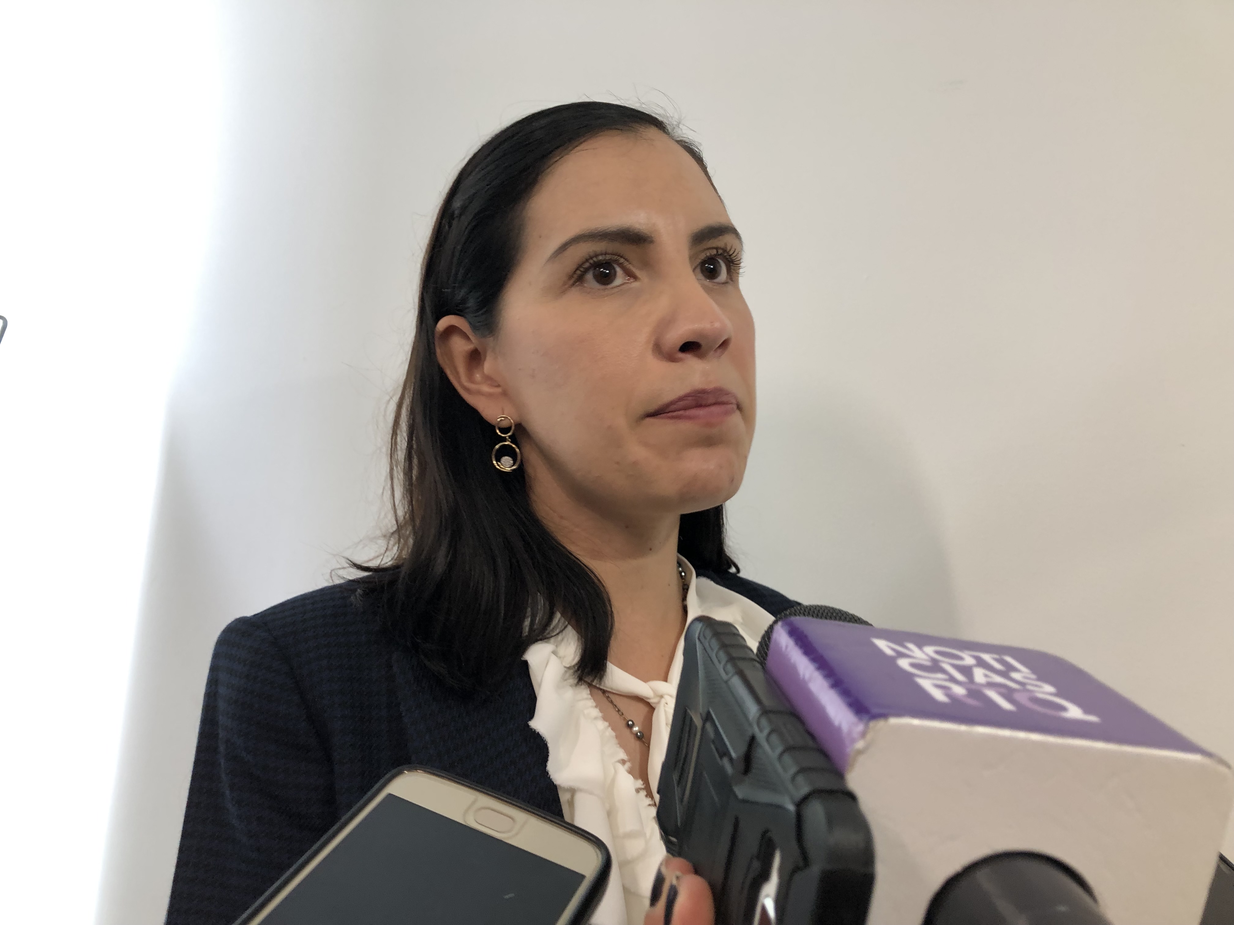  Rechaza Elsa Méndez acuerdo de responsabilidad de la DDHQ