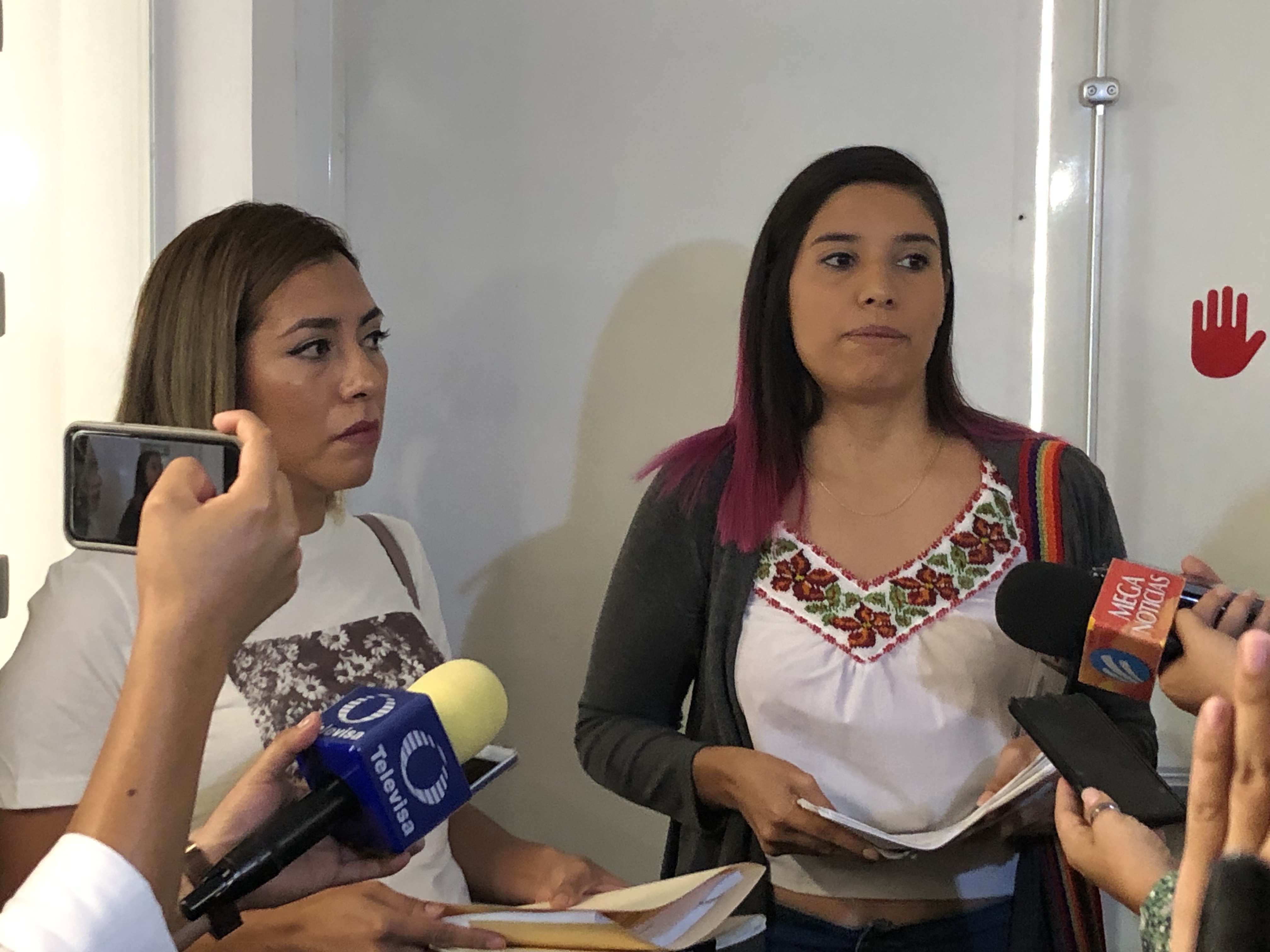  Activistas presentan denuncia contra Elsa Méndez ante Contraloría Interna de la Legislatura