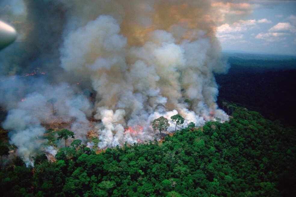  Gran incendio devora el Amazonas, Bolsonaro culpa a ONG
