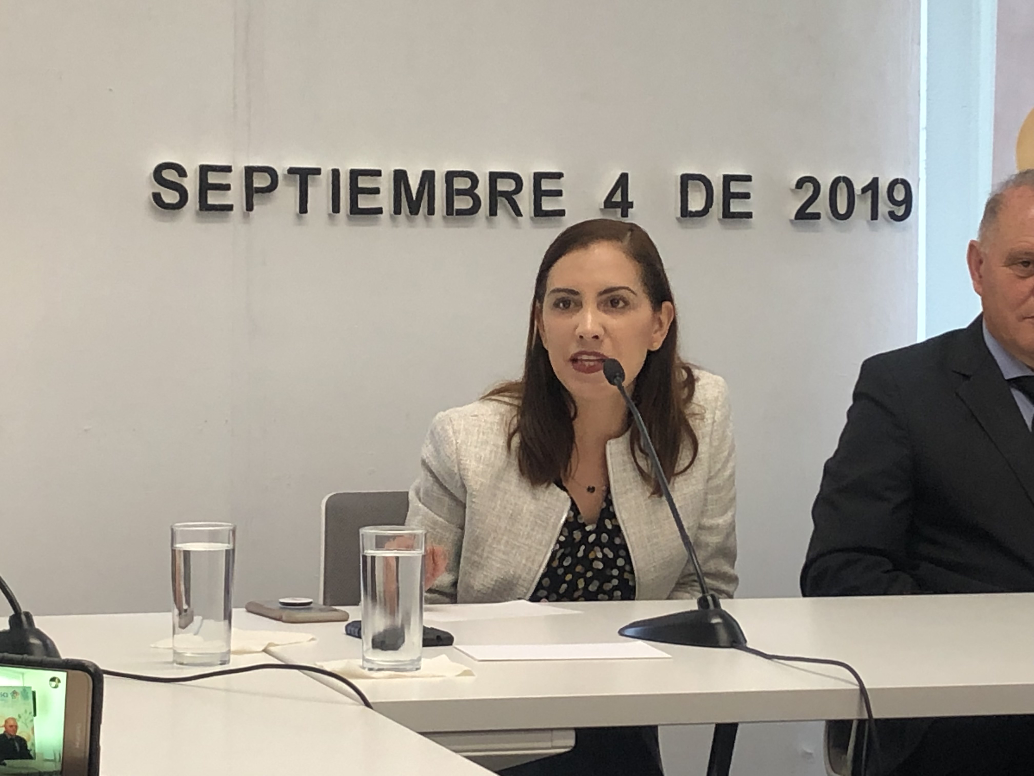  Elsa Méndez rechaza e impugnará resoluciones de IEEQ y DDHQ