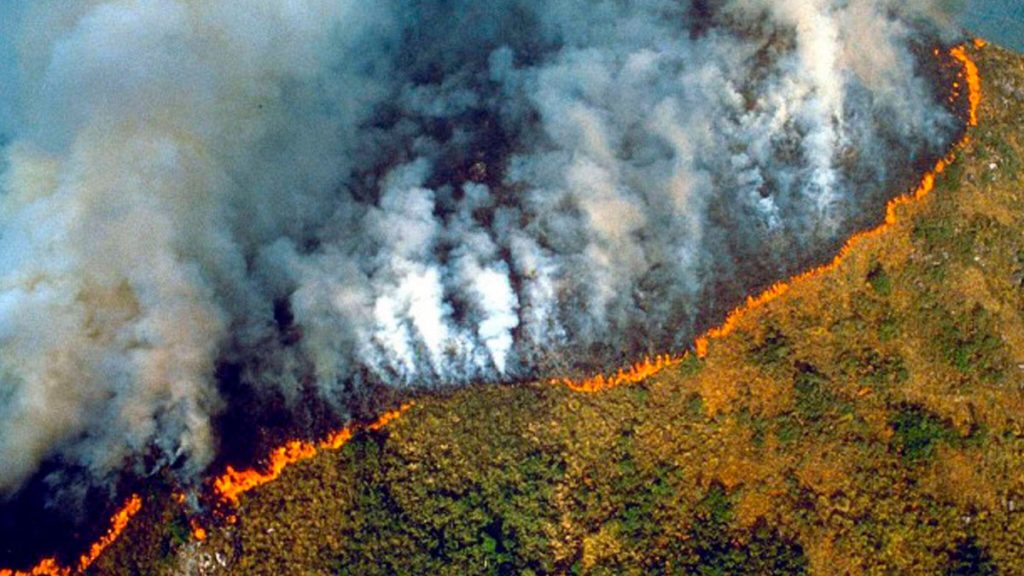  La deforestación en la Amazonía brasileña saltó un 222 % en agosto