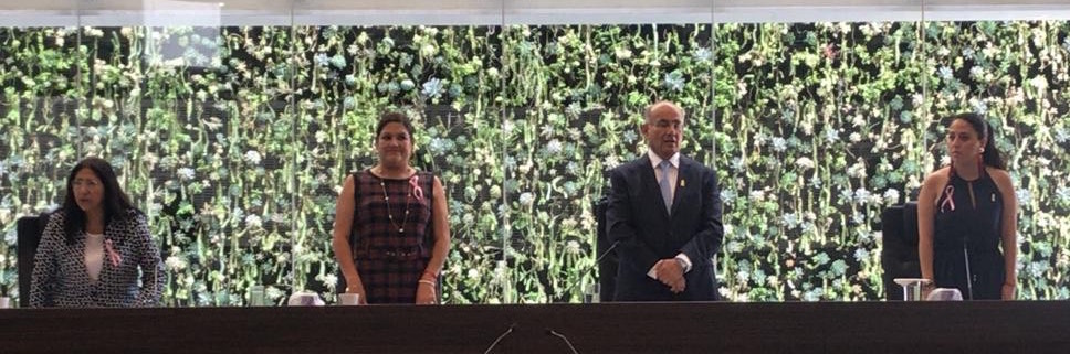  Presidirá Verónica Hernández Flores la Mesa Directiva del Congreso Estatal